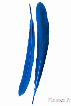 Pauw paars - 45-52 cm - turkoois